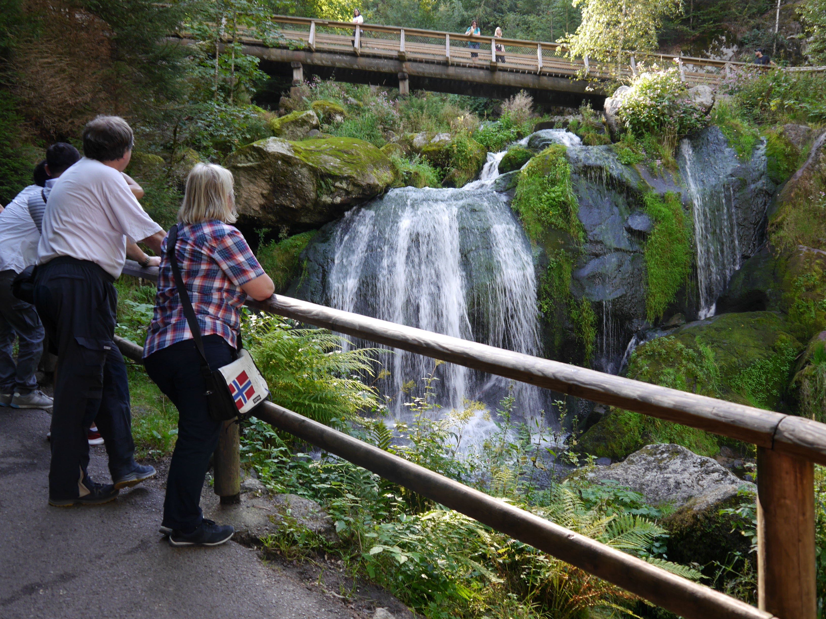 3 Triberg Wasserfälle (13)