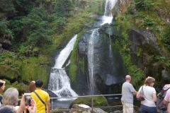 3 Triberg Wasserfälle (10)