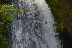3 Triberg Wasserfälle (12)